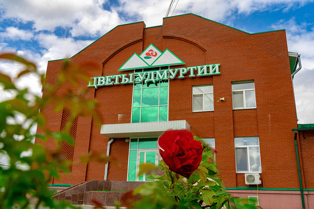 Теплицы с розами